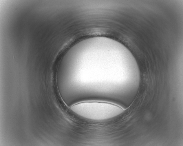X0000067920304200604131141