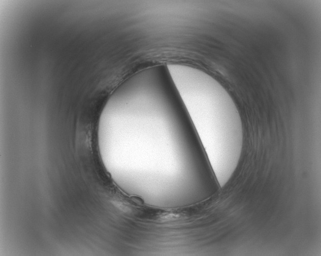 X0000067920315200604131141