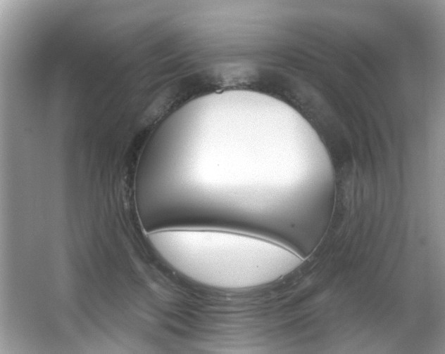 X0000067920316200604131141