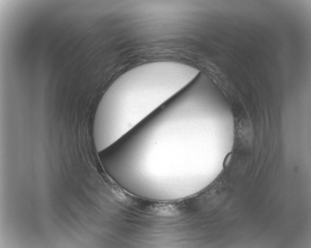 X0000067920322200604131141
