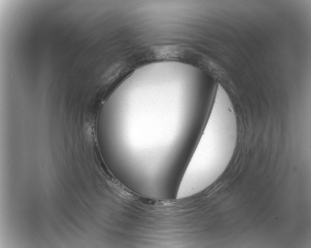 X0000067920329200604131141