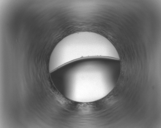 X0000067920331200604131141