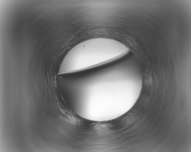 X0000067920332200604131141