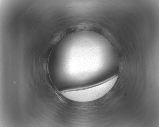 X0000067920333200604131141