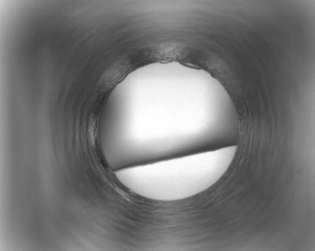X0000067920334200604131141