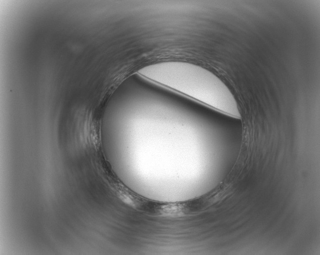 X0000067920335200604131141