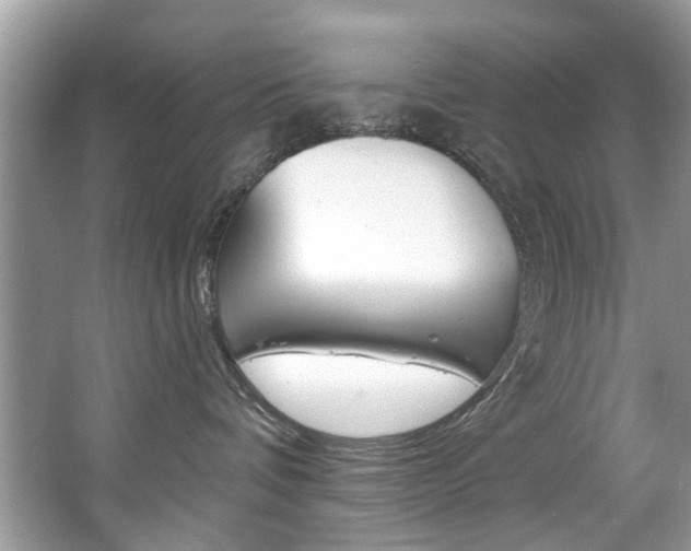 X0000067920336200604131141