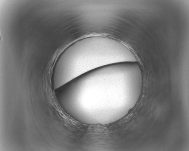 X0000067920337200604131140