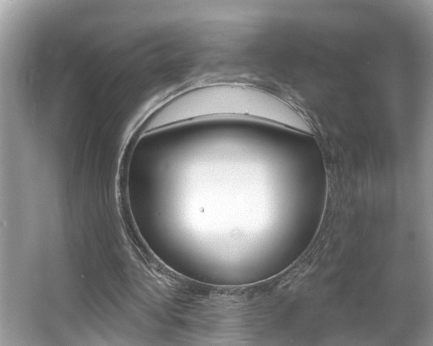 X0000067920340200604131140