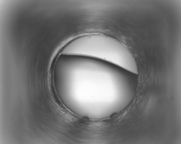 X0000067920342200604131140