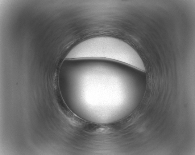 X0000067920364200604131140
