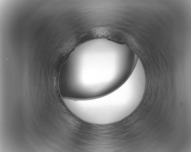 X0000067920417200604131139