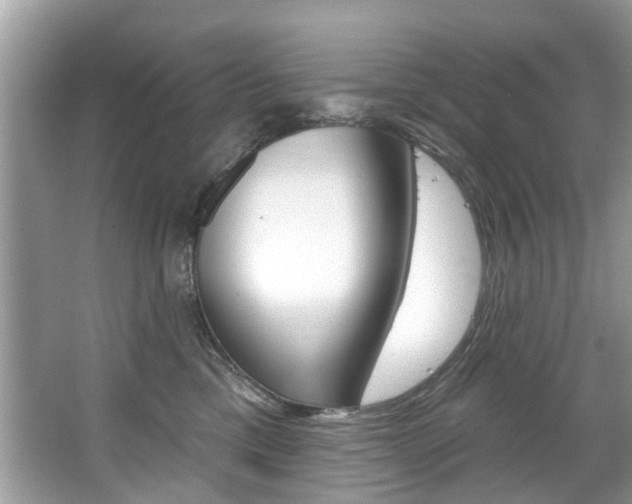 X0000067920425200604131139