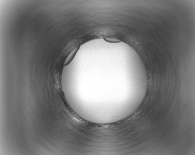X0000067920430200604131139