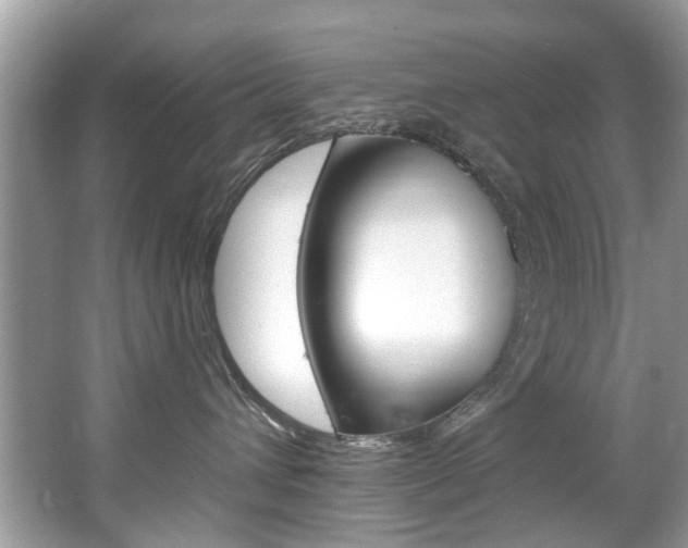 X0000067920432200604131139