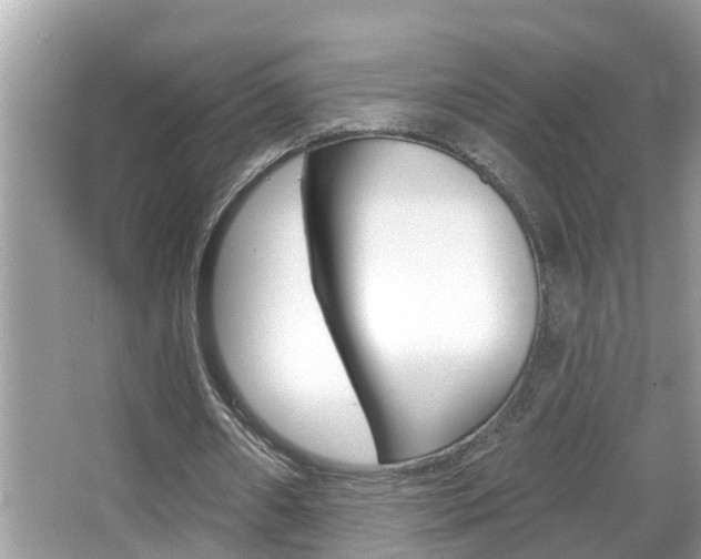 X0000067920482200604131138