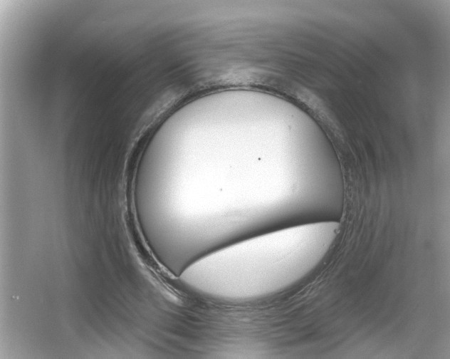 X0000067920486200604131138