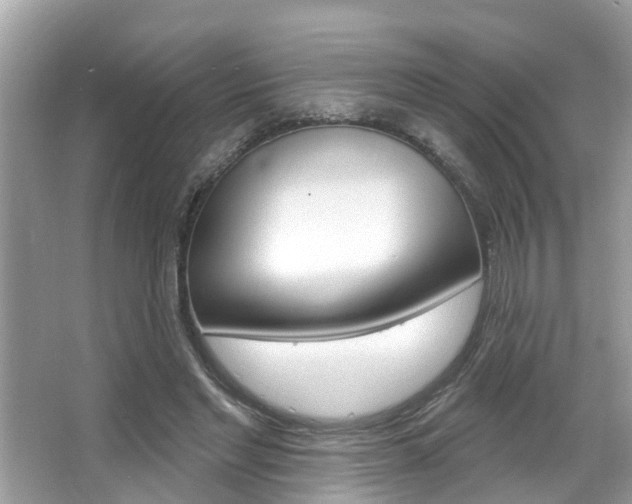 X0000067920493200604131138
