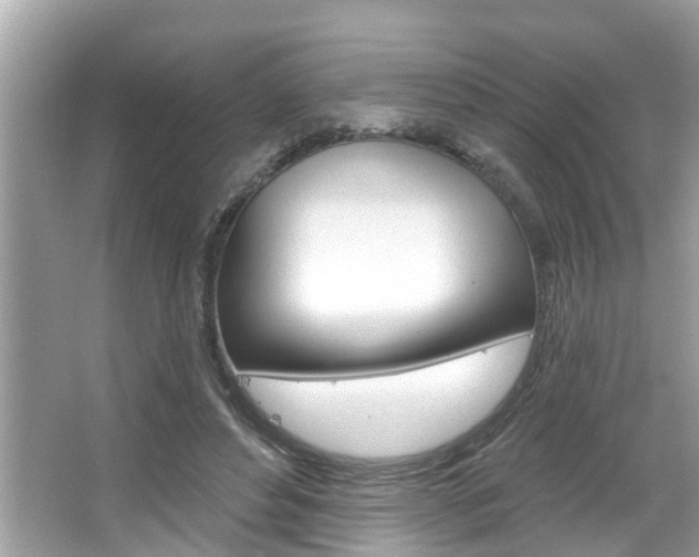 X0000067920496200604131138