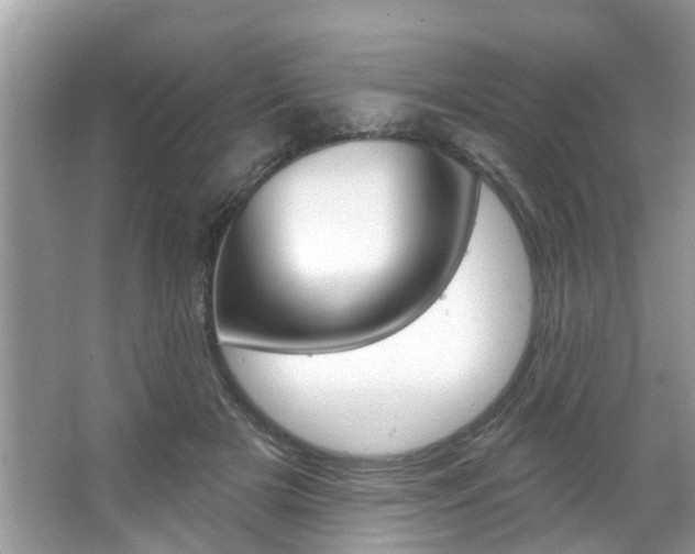 X0000067920505200604131138