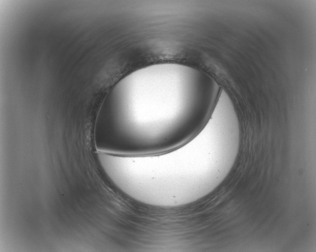 X0000067920509200604131138