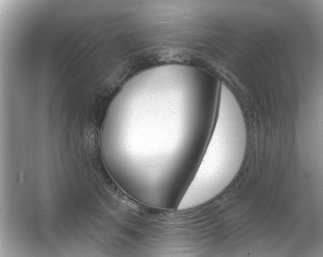 X0000067920513200604131138