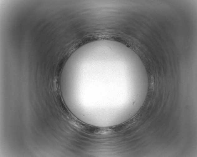 X0000067920514200604131138