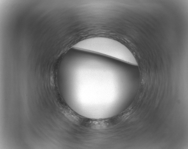 X0000067920524200604131138