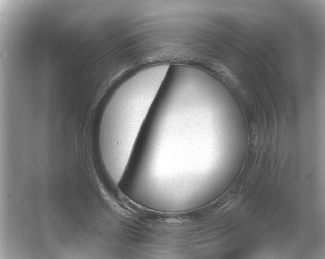 X0000067920542200604131137