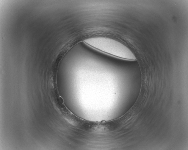 X0000067920547200604131137