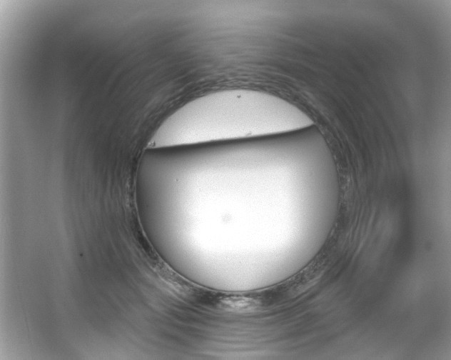 X0000067920557200604131137