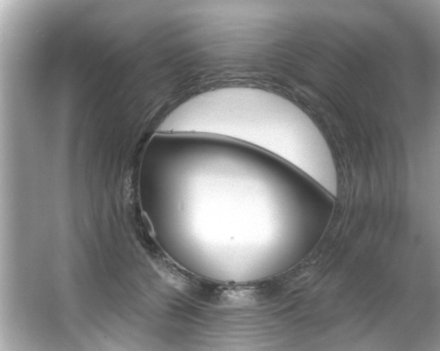 X0000067920560200604131137