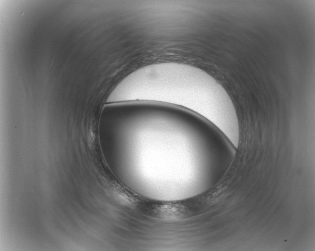X0000067920566200604131137