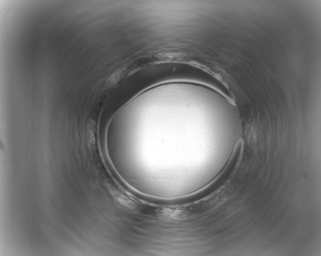 X0000067920570200604131137