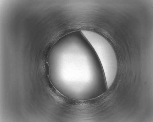 X0000067920593200604131136