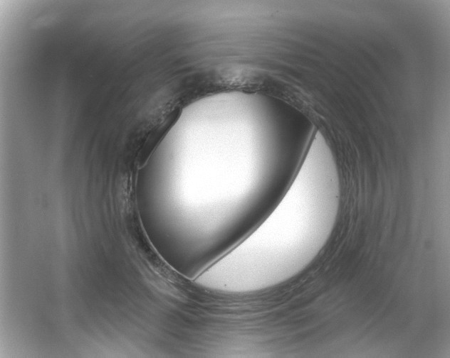 X0000067920605200604131136