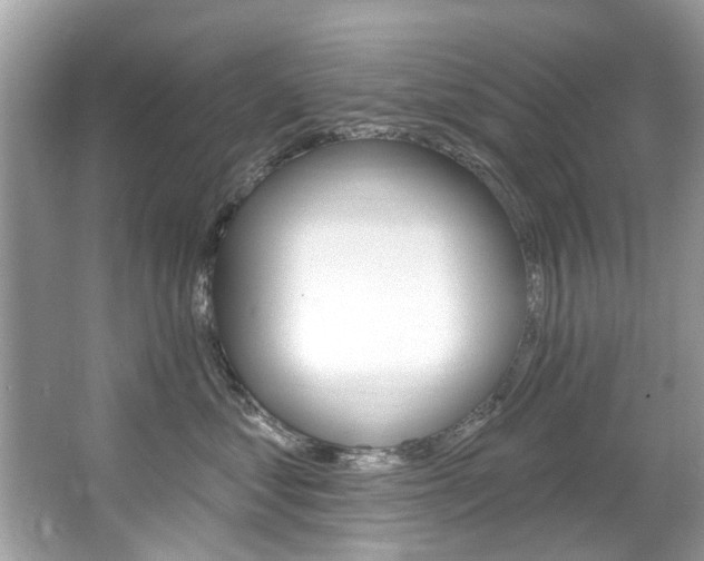 X0000067920621200604131136