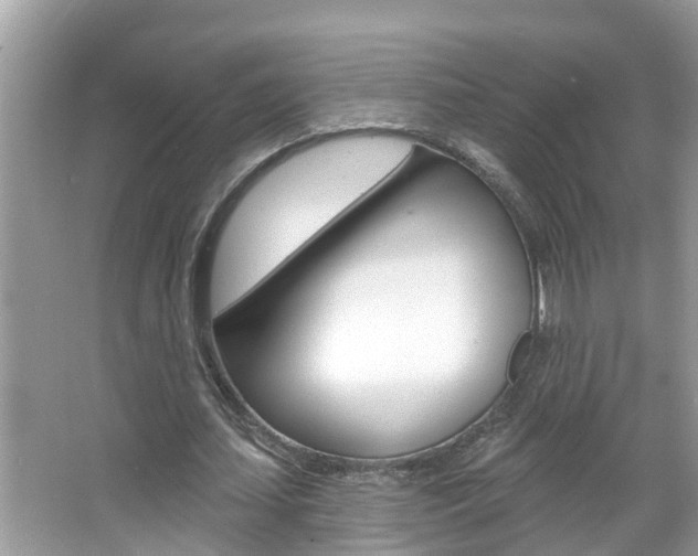 X0000067920627200604131135