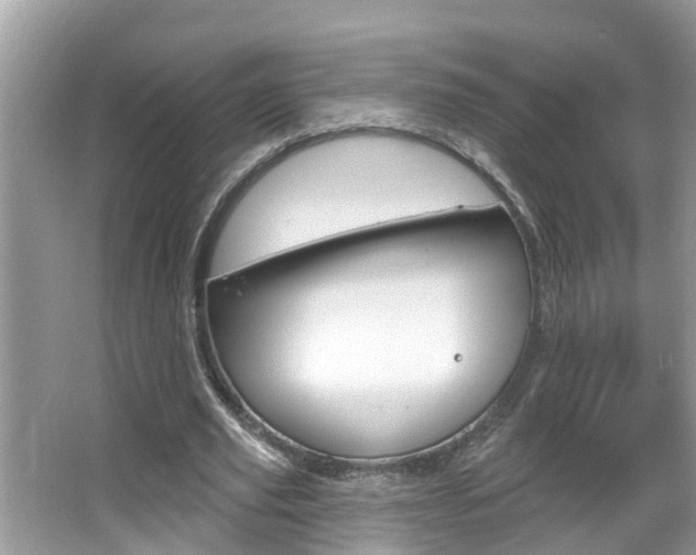 X0000067920629200604131135