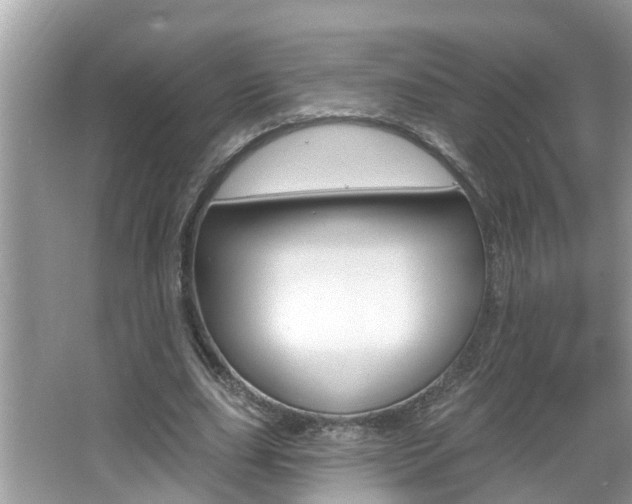 X0000067920631200604131135