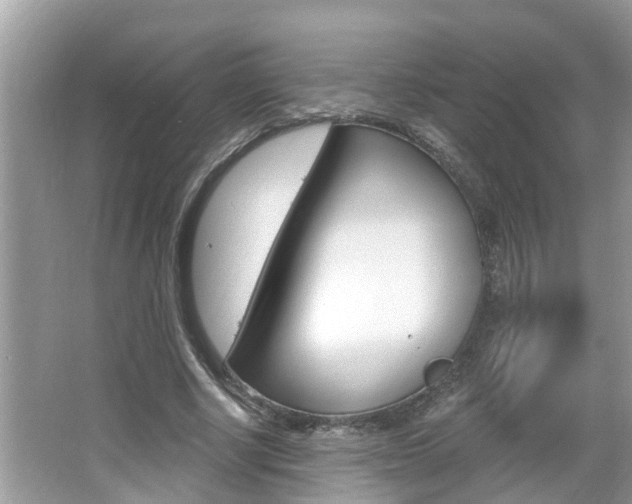 X0000067920634200604131135