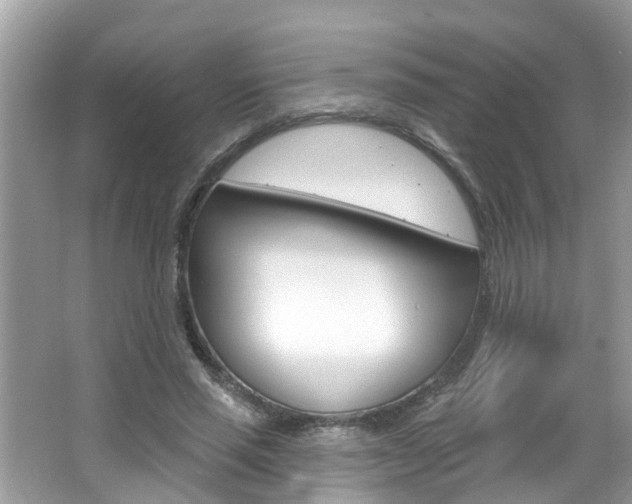 X0000067920637200604131135