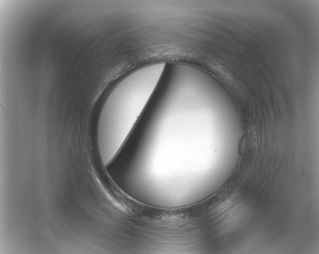 X0000067920638200604131135