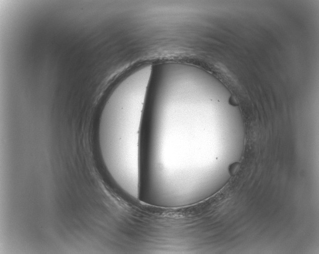 X0000067920640200604131135