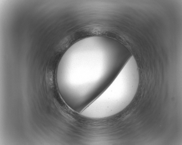 X0000067920646200604131136