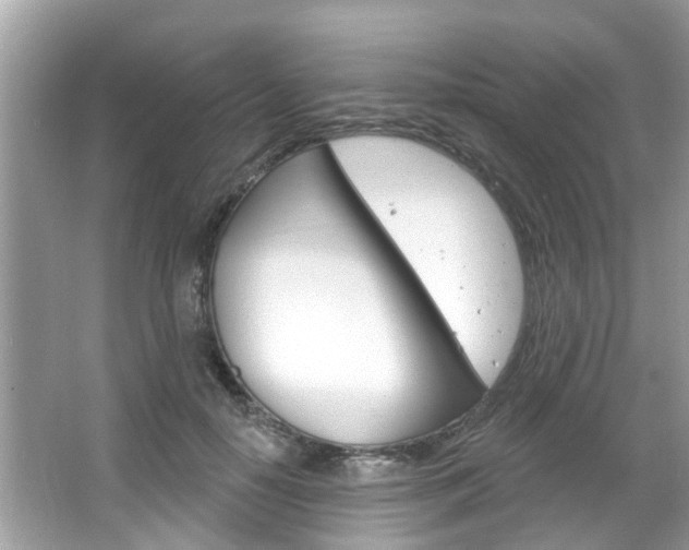 X0000067920650200604131136
