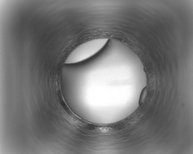 X0000067920654200604131136