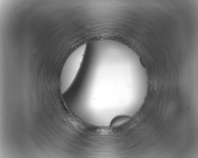 X0000067920660200604131136