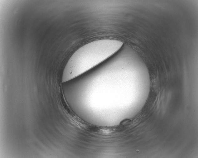 X0000067920662200604131136