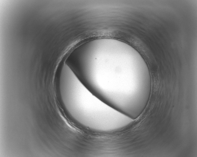 X0000067920674200604131135